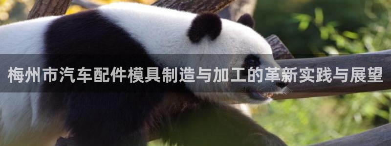易倍emc网址网页版本登陆：梅州市汽车配件模具制造与加工