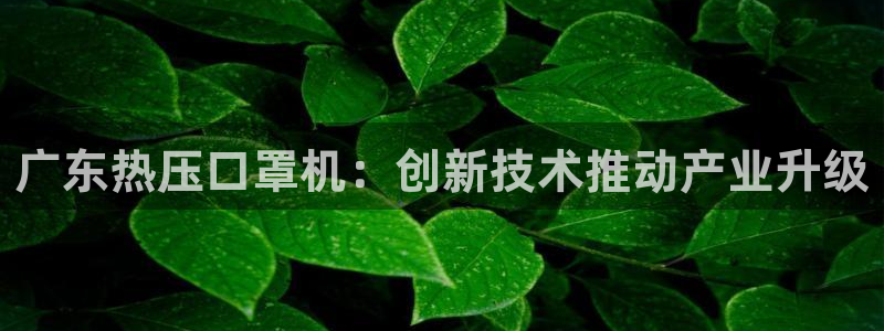 易倍app官网下载：广东热压口罩机：创新技术推动产业升级