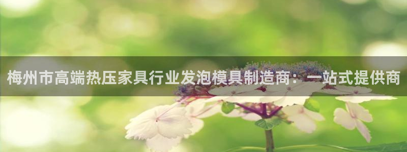 emc易倍在线登录：梅州市高端热压家具行业发泡模具制造商