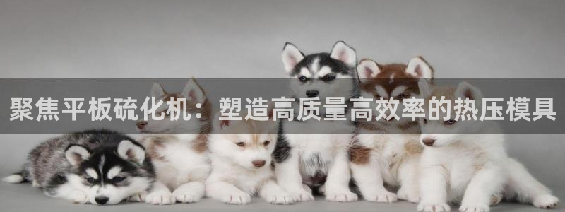 易倍申和易倍清的区别：聚焦平板硫化机：塑造高质量高效率的