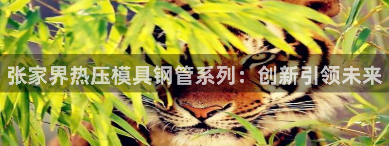 Emc易赔体育：张家界热压模具钢管系列：创新引领未来