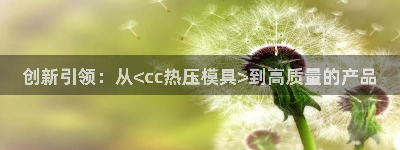 emc下载：创新引领：从<cc热压模具>到高质量的产品