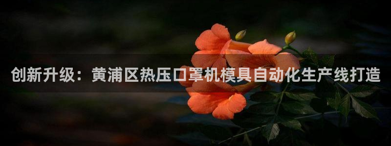 emc易倍平台：创新升级：黄浦区热压口罩机模具自动化生产