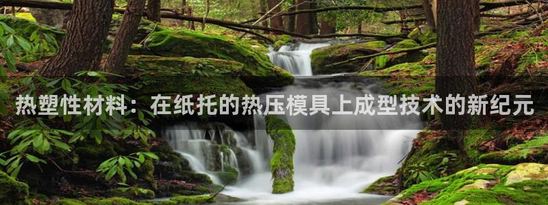 emc易倍登录：热塑性材料：在纸托的热压模具上成型技术的