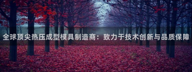 易倍纤能减肥吗：全球顶尖热压成型模具制造商：致力于技术创