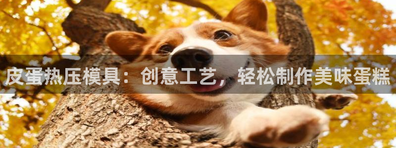 EMC易倍：皮蛋热压模具：创意工艺，轻松制作美味蛋糕