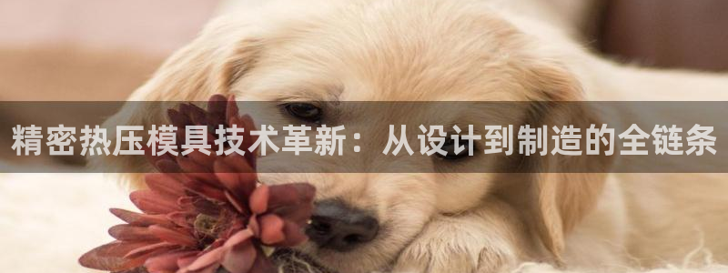 易倍网络技术有限公司：精密热压模具技术革新：从设计到制造