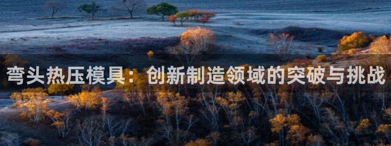 易倍下载：弯头热压模具：创新制造领域的突破与挑战