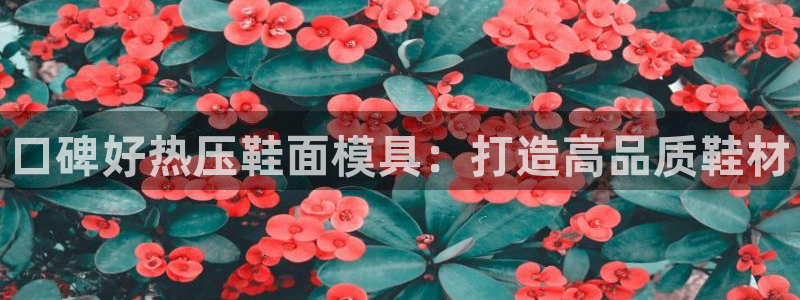 易倍纤减肥价格：口碑好热压鞋面模具：打造高品质鞋材