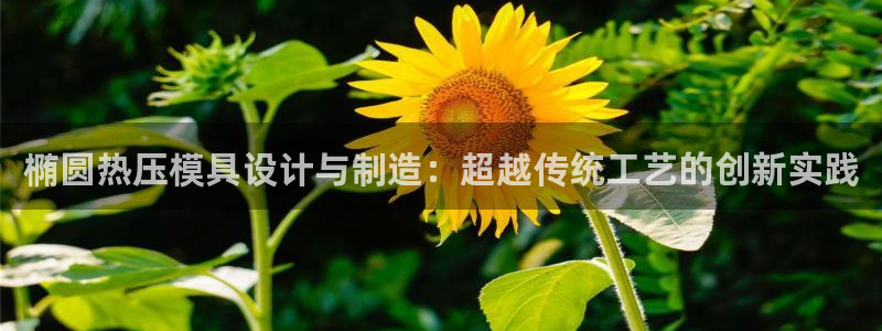 emc32软件使用说明：椭圆热压模具设计与制造：超越传统