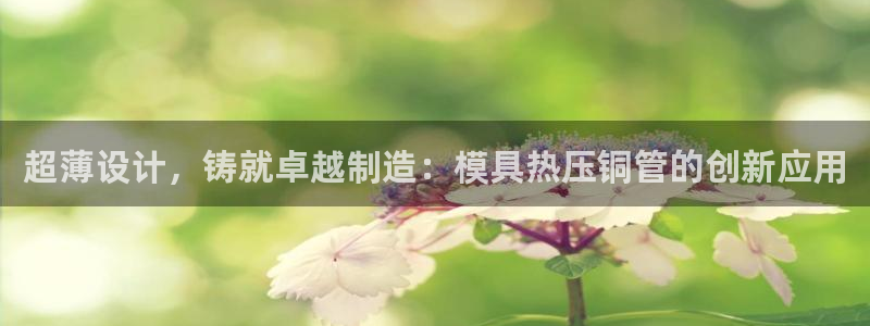 emc易倍怎么样：超薄设计，铸就卓越制造：模具热压铜管的