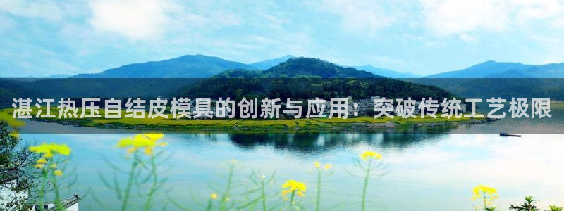 emc易倍穆里尼奥：湛江热压自结皮模具的创新与应用：突破