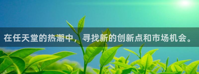 易倍单词app官网：在任天堂的热潮中，寻找新的创新点和市