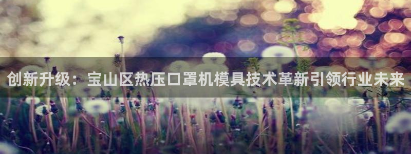 易倍申怎么样