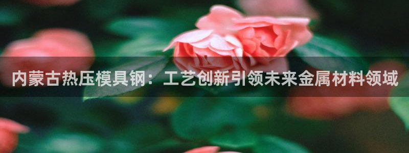 南京易倍易电子科技有限公司