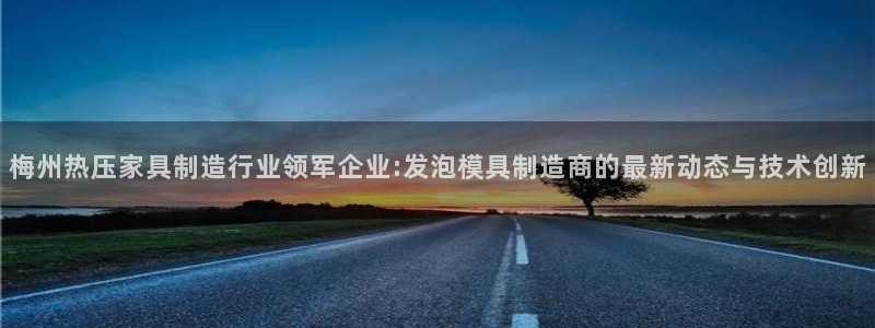 易倍单词官方网站：梅州热压家具制造行业领军企业:发泡模具