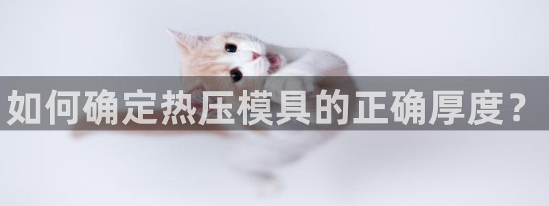 易倍企业管理软件