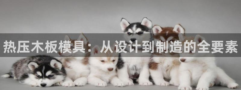 易倍申厂家:热压木板模具:从设计到制造的全要素