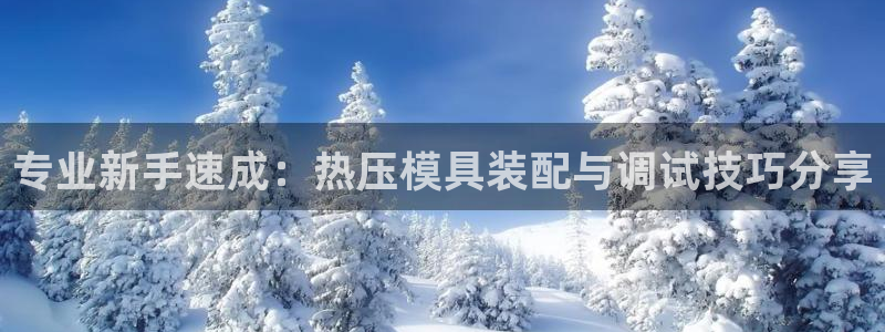 易倍科华生物科技有限公司：专业新手速成：热压模具装配与调