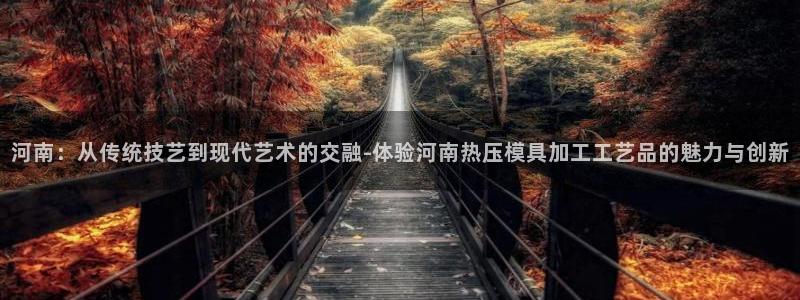 易倍网络技术有限公司怎么样：河南：从传统技艺到现代艺术的