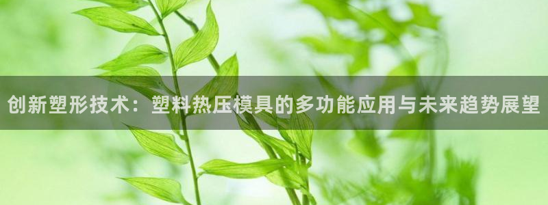 emc低频不过:创新塑形技术:塑料热压模具的多功能应用与