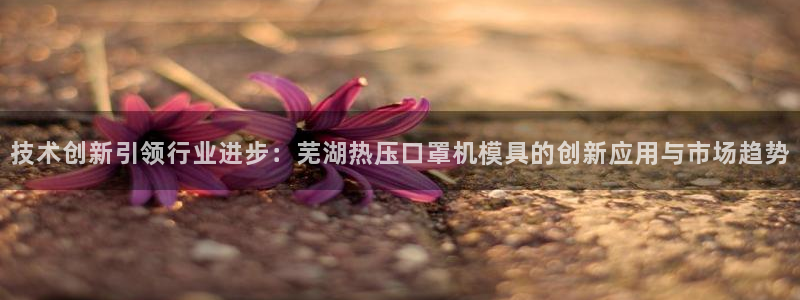易倍单词软件