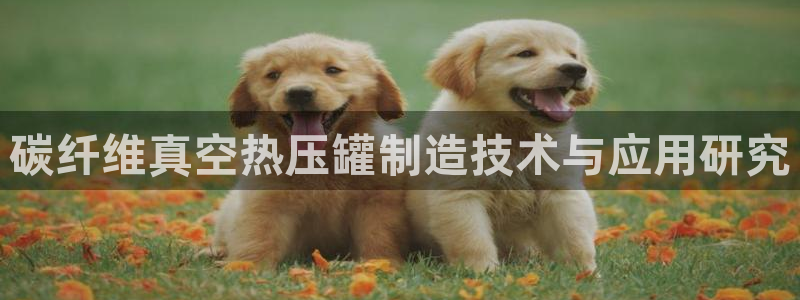 易倍易倍单词官方网站