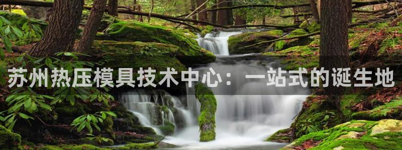 易倍申多少钱