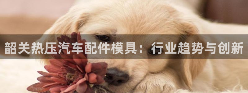 易倍思教育:韶关热压汽车配件模具:行业趋势与创新