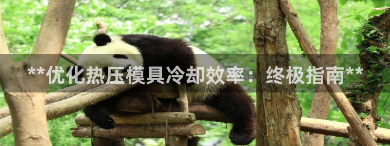 emc易倍最新链接:**优化热压模具冷却效率:终极指南*