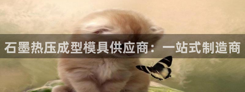 易倍全站下载：石墨热压成型模具供应商：一站式制造商