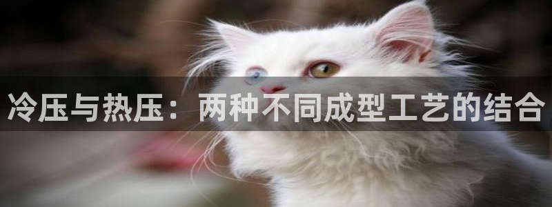 emc易赔:冷压与热压:两种不同成型工艺的结合