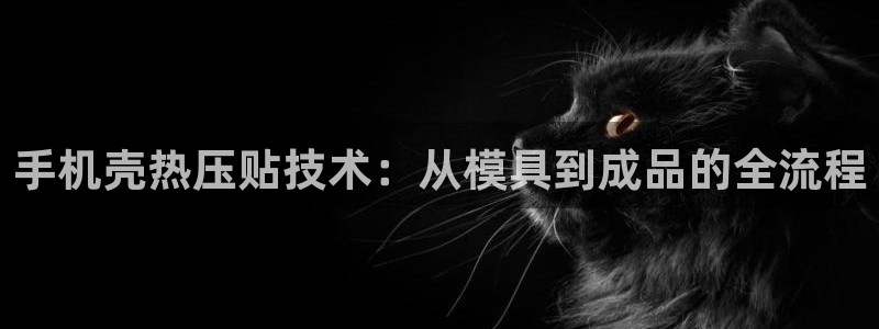 emc易倍的服务优势:手机壳热压贴技术:从模具到成品的全