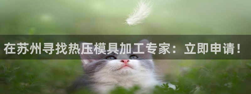 易倍网络技术有限公司官网：在苏州寻找热压模具加工专家：立