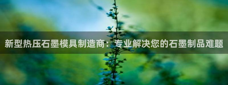 易倍单词登录网站:新型热压石墨模具制造商:专业解决您的石