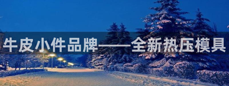 易倍申每盒价格是多少?：牛皮小件品牌——全新热压模具