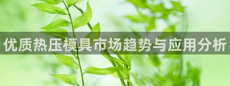 易倍企业管理软件怎么样：优质热压模具市场趋势与应用分析