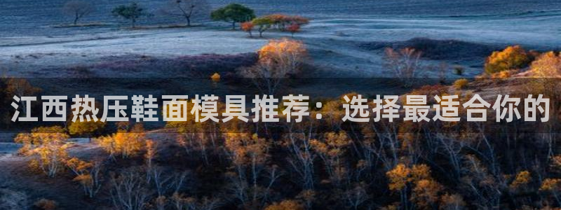 emc服务器是什么：江西热压鞋面模具推荐：选择最适合你的