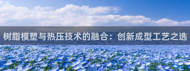 易倍思教育:树脂模塑与热压技术的融合:创新成型工艺之选