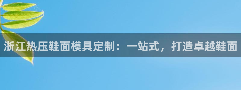 易倍纤官网:浙江热压鞋面模具定制:一站式,打造卓越鞋面