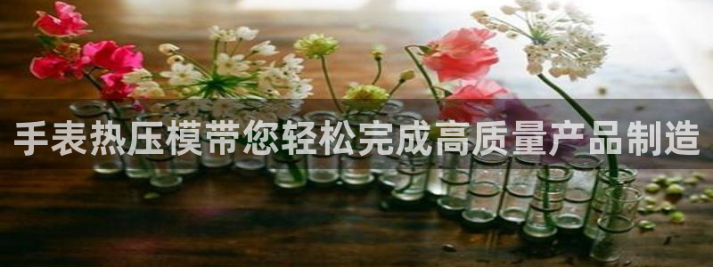 emc易贝体育怎么样:手表热压模带您轻松完成高质量产品制