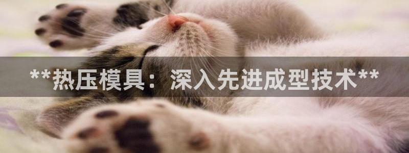 emcbet全站:**热压模具:深入先进成型技术**