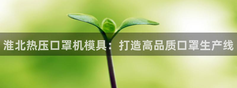易倍申片的功效与作用：淮北热压口罩机模具：打造高品质口罩