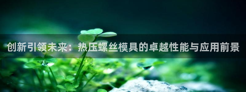 易倍纤酵素效果好吗:创新引领未来:热压螺丝模具的卓越性能