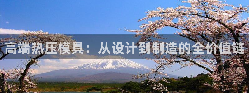 易倍申不良反应:高端热压模具:从设计到制造的全价值链