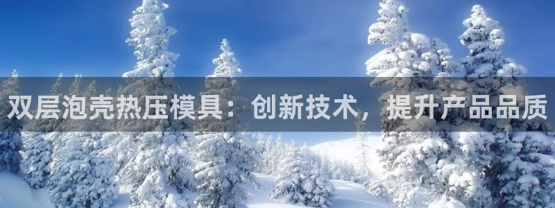 易倍emc网址网页版本登陆：双层泡壳热压模具：创新技术，