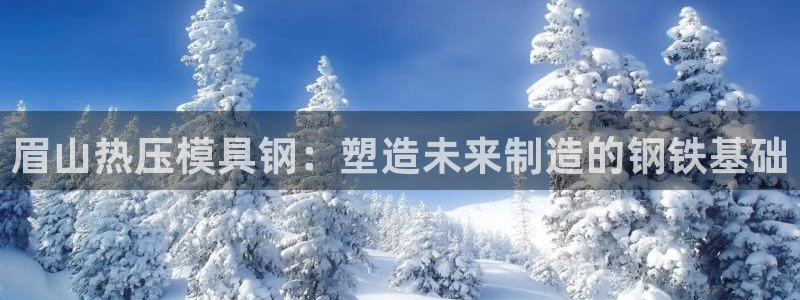 emc易倍账号异常：眉山热压模具钢：塑造未来制造的钢铁基