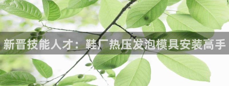 emc登录网站：新晋技能人才：鞋厂热压发泡模具安装高手