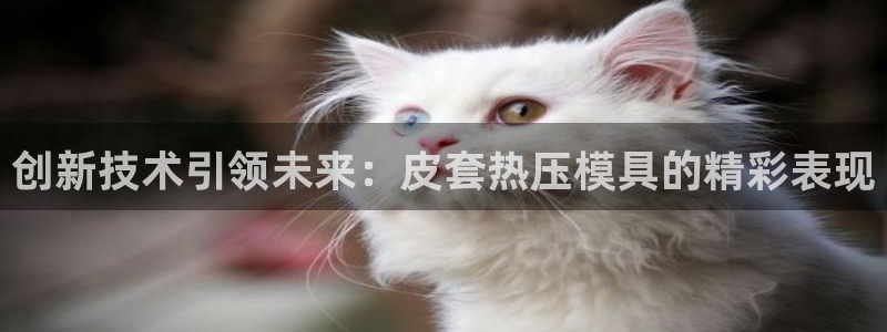 武汉易倍捷科技有限公司：创新技术引领未来：皮套热压模具的