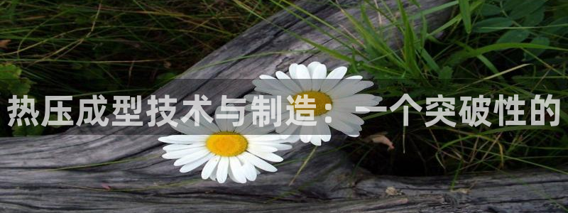 EMC易倍官方平台:热压成型技术与制造:一个突破性的